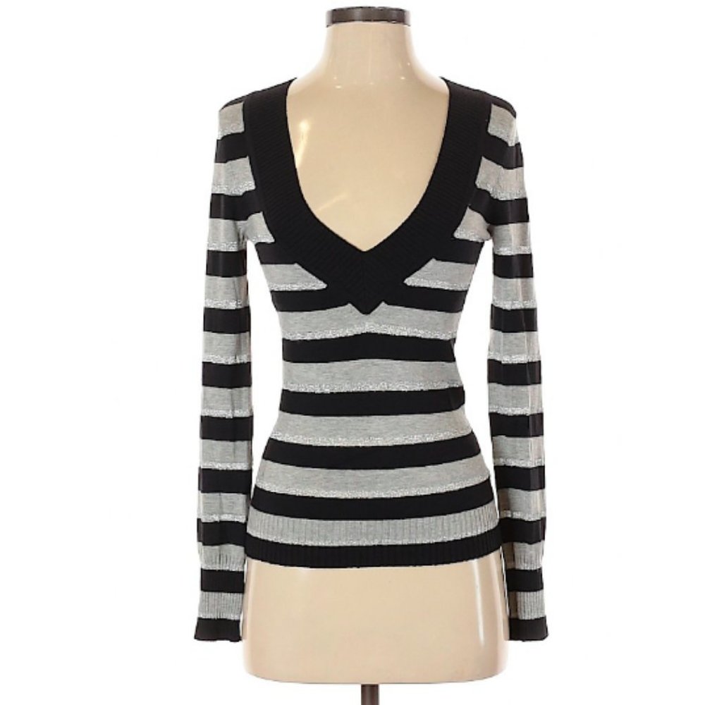 NWOT Express Striped V-neck Stretchy Top